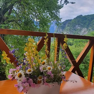 Davisol Albanien